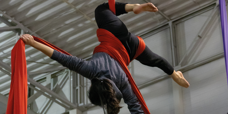 imagen danzas aéreas